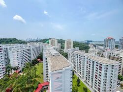 Blk 67 BLANGAH VIEW (Bukit Merah), HDB 5 Rooms #601312881